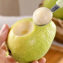🔥Hot Sale💚 Organic Guava Seeds🌱 Easy Grow