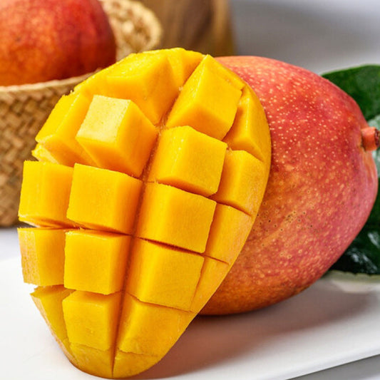 Julina Mango Fruit Tree Seeds